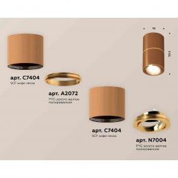 Комплект накладного светильника Ambrella light Techno Spot XS7404060 SCF/PYG кофе песок/золото желтое полированное (C7404, A2072, C7404, N7004)  купить